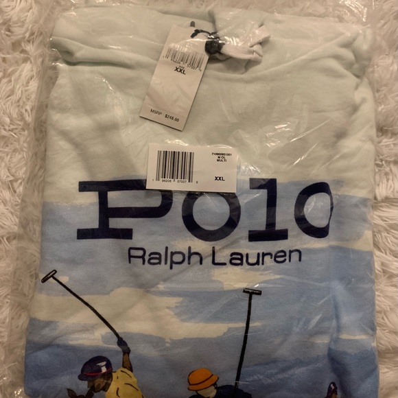 Last one! Polo Ralph Lauren Scenic Polo Match Hooded Sweatshirt Hoodie - Picture 5 of 5
